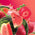 Strawberry Watermelon